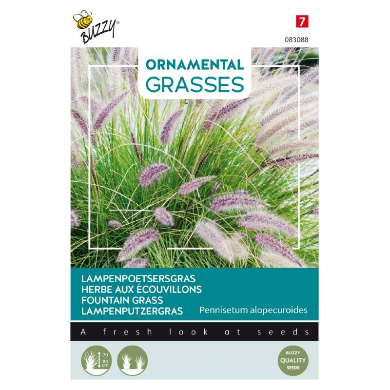 Ornamental Grasses - Siergrassen