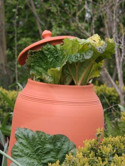 Bleekpot Rabarberpot, landleven, smeltkroes, tuinspul.nl
