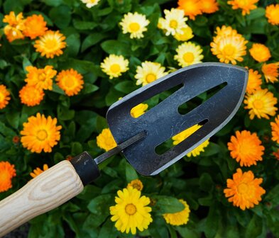 tuinschepje met open blad, DeWit online kopen