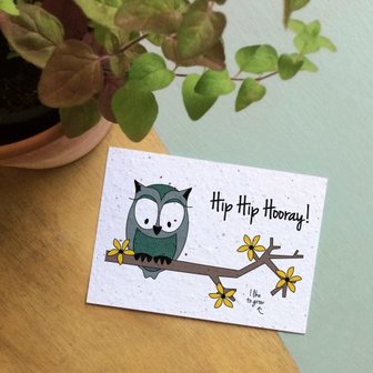 Bloom your message -Hip Hip Hooray! - bloeikaart - tuinspul.nl