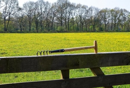 De Wit Paardenbloem wieder met essen houten steel van 400mm Onkruidkrabber en -Steker