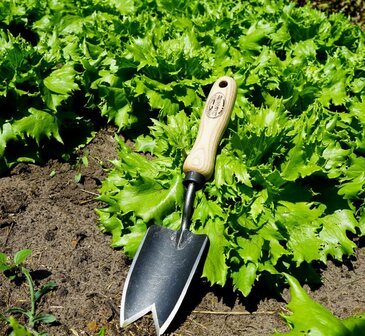 DeWit Plantschepje klein met V-snede essen handvat 140mm 