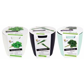 Magneet potjes kruiden