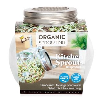 Buzzy Organic spruitgroente in pot - Salademix