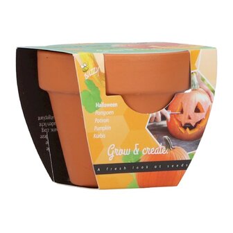 Grow Gifts halloween pumpking - Buzzy