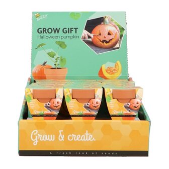 Grow Gifts halloween pumpking - Buzzy