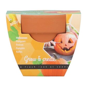 Grow Gifts halloween pumpking - Buzzy