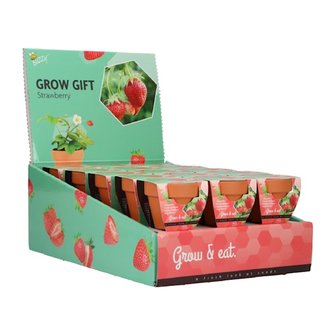 Grow Gifts Aardbei - Buzzy Display