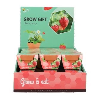 Grow Gifts Aardbei - Buzzy Display