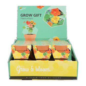 Grow Gifts Oost-Indische Kers - Buzzy Display