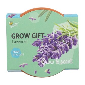 Grow Gifts Lavendel  - Buzzy