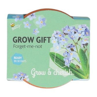 Grow Gifts Vergeet-me-niet  - Buzzy