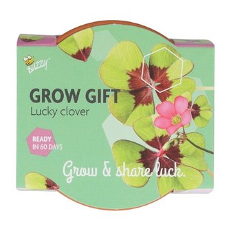 Grow Gifts Klavertje 4  - Buzzy