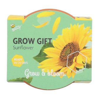 Grow Gifts Zonnebloem  - Buzzy