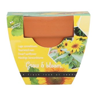 Grow Gifts Zonnebloem  - Buzzy