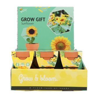 Grow Gifts Zonnebloem  - Buzzy Display
