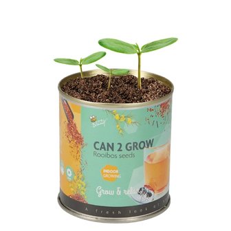 groeicadeau, koffie en thee in blik | Koffie/thee can grow