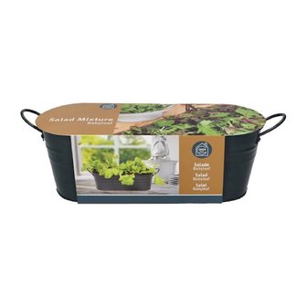 Buzzy&reg; Antraciet Teiltje Baby leaf Salad