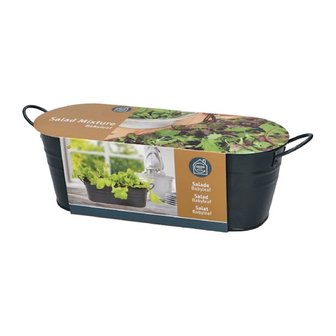 Buzzy&reg; Antraciet Teiltje Baby leaf Salad