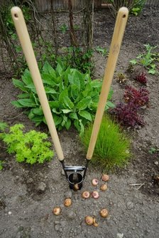 Bollenpoter met 2 stelen - DeWit