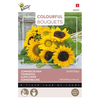 Colourful Bouquets, Sunlit Days (zonnebloem