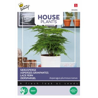House Plants Asparagus, Sierasperge