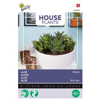 House Plants Alo&euml; gemengde soorten