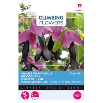 Climbing Flowers, Rhodochiton, Purple Bells