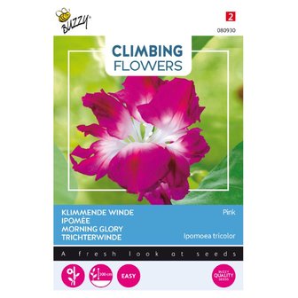 Climbing Flowers, Ipomoea Dubbel Rose