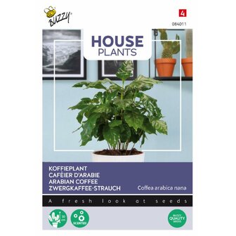 House Plants Coffea Arabica, Koffieplant