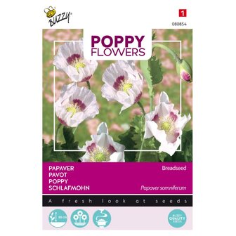Poppy Flowers, Papaver Blauwmaanzaad