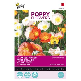 Poppy Flowers, IJslandse papaver