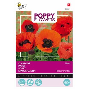 Poppy Flowers, Oosterse klaproos gemengd