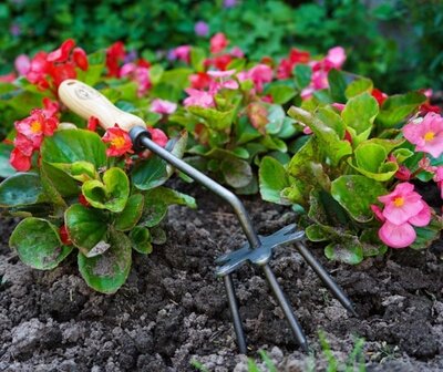 De Wit Tuinwoeler met essen handvat van 140mm.