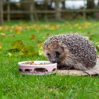 Egel voederschaal MYRTE