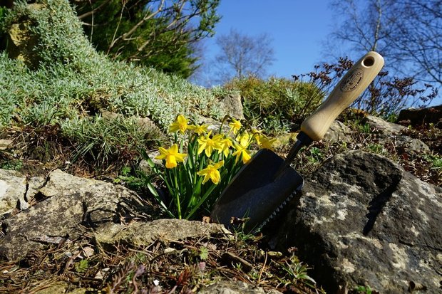 Plantschepje welldone - zaagschep