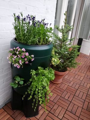 Wormencompost ton met verticale tuin