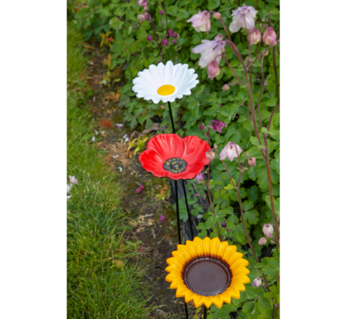 Buzzy Seeds Bird Gift Voeder Paal Zonnebloem