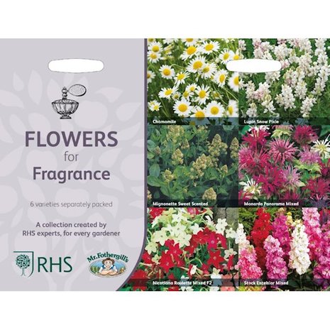 Collectie Geurende Bloemen