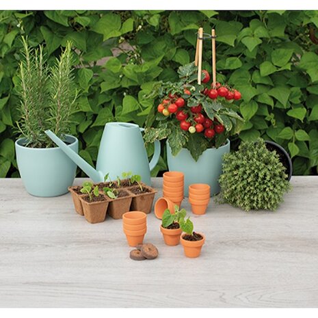 SOGO Stenen terracotta potjes 4/5cm 9st.