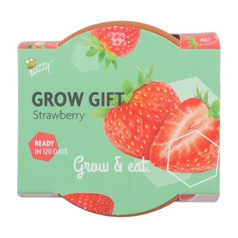 Grow Gifts Aardbei - Buzzy