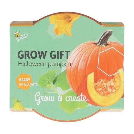 Grow Gifts halloween pumpking - Buzzy Display