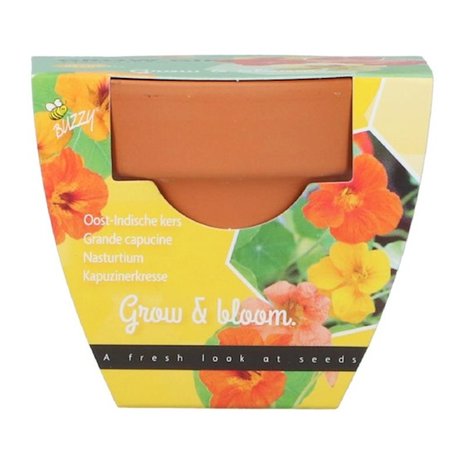 Grow Gifts Oost-Indische Kers - Buzzy