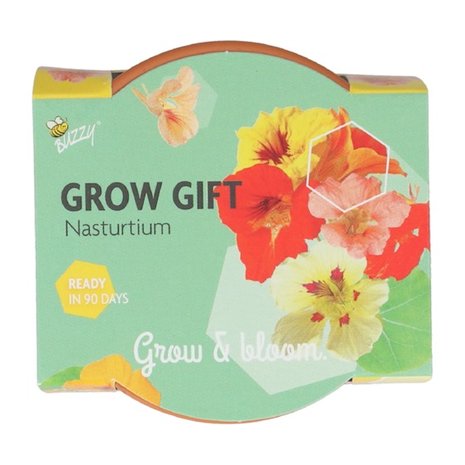 Grow Gifts Oost-Indische Kers - Buzzy