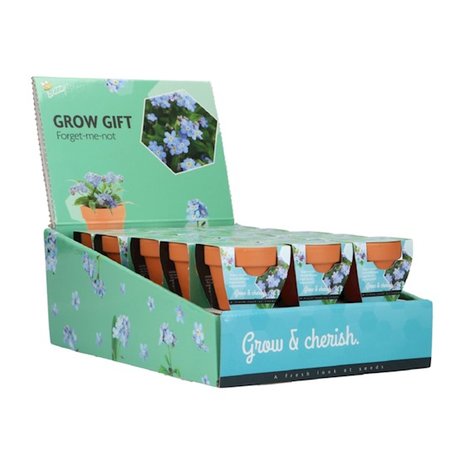 Grow Gifts Vergeet-me-niet  - Buzzy