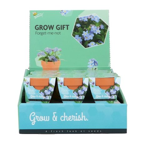 Grow Gifts Vergeet-me-niet  - Buzzy