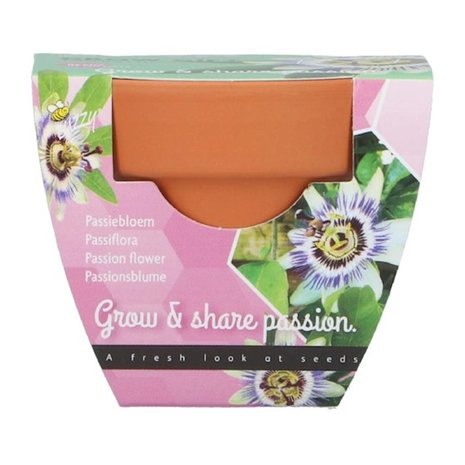 Grow Gifts Passiflora  - Buzzy
