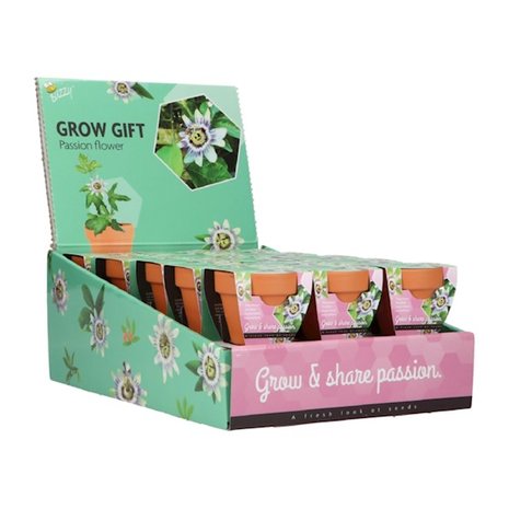 Grow Gifts Passiflora  - Buzzy Display