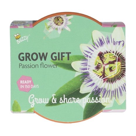 Grow Gifts Passiflora  - Buzzy