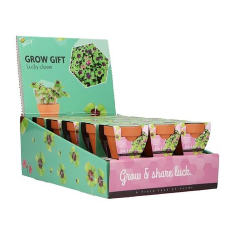 Grow Gifts Klavertje 4  - Buzzy Display